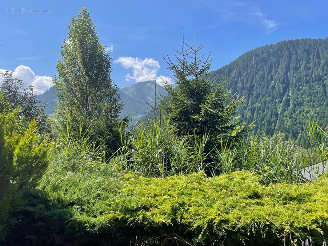 Appartement à CHATEL