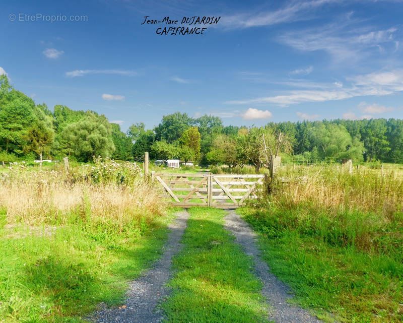 Terrain à MARCHIENNES