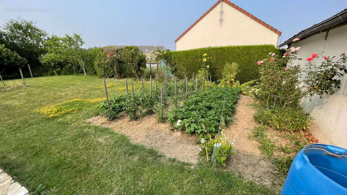 Maison à DANGEAU