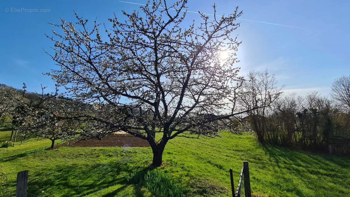 Appartement à CUISEAUX