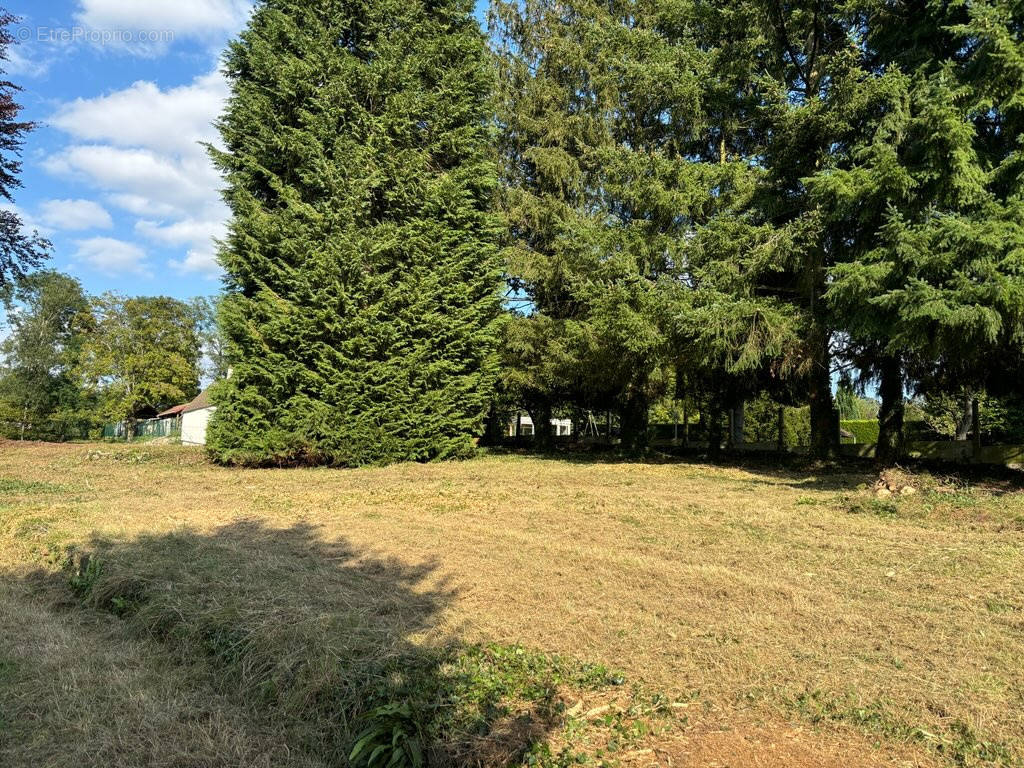 Terrain à VILLERS-COTTERETS