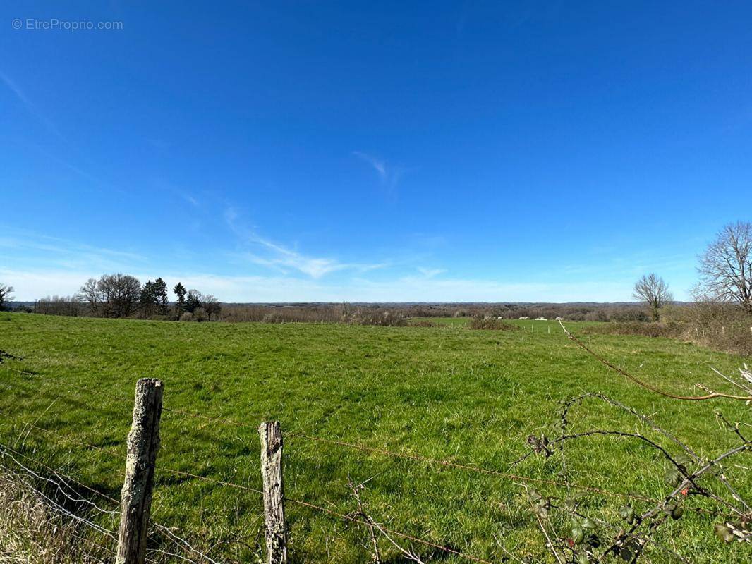 Terrain à THIVIERS