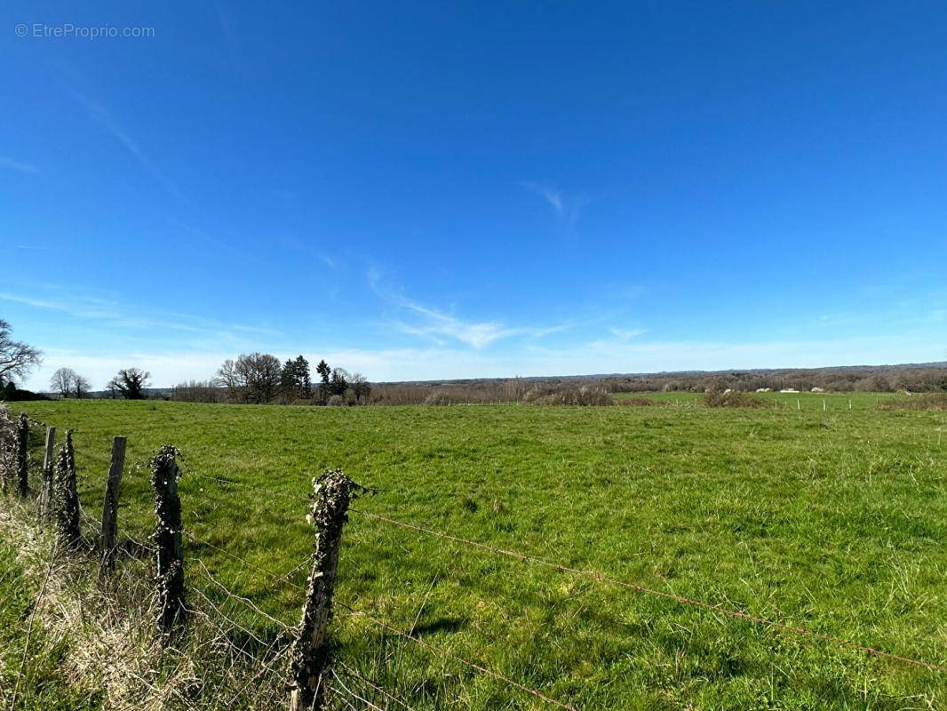 Terrain à THIVIERS