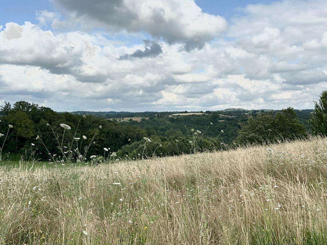 Terrain à CORGNAC-SUR-L&#039;ISLE