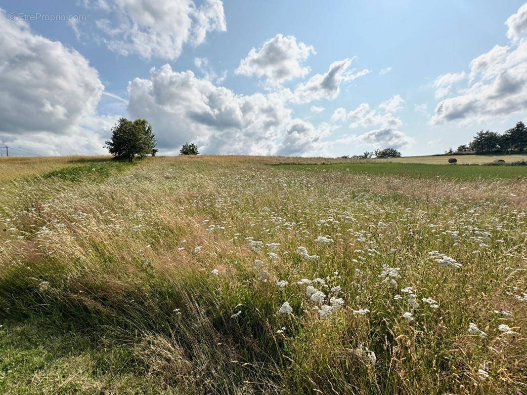 Terrain à CORGNAC-SUR-L&#039;ISLE