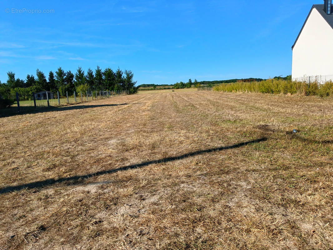 Terrain à VEIGNE