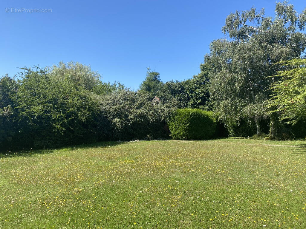 Terrain à SAINT-REMY-LES-CHEVREUSE