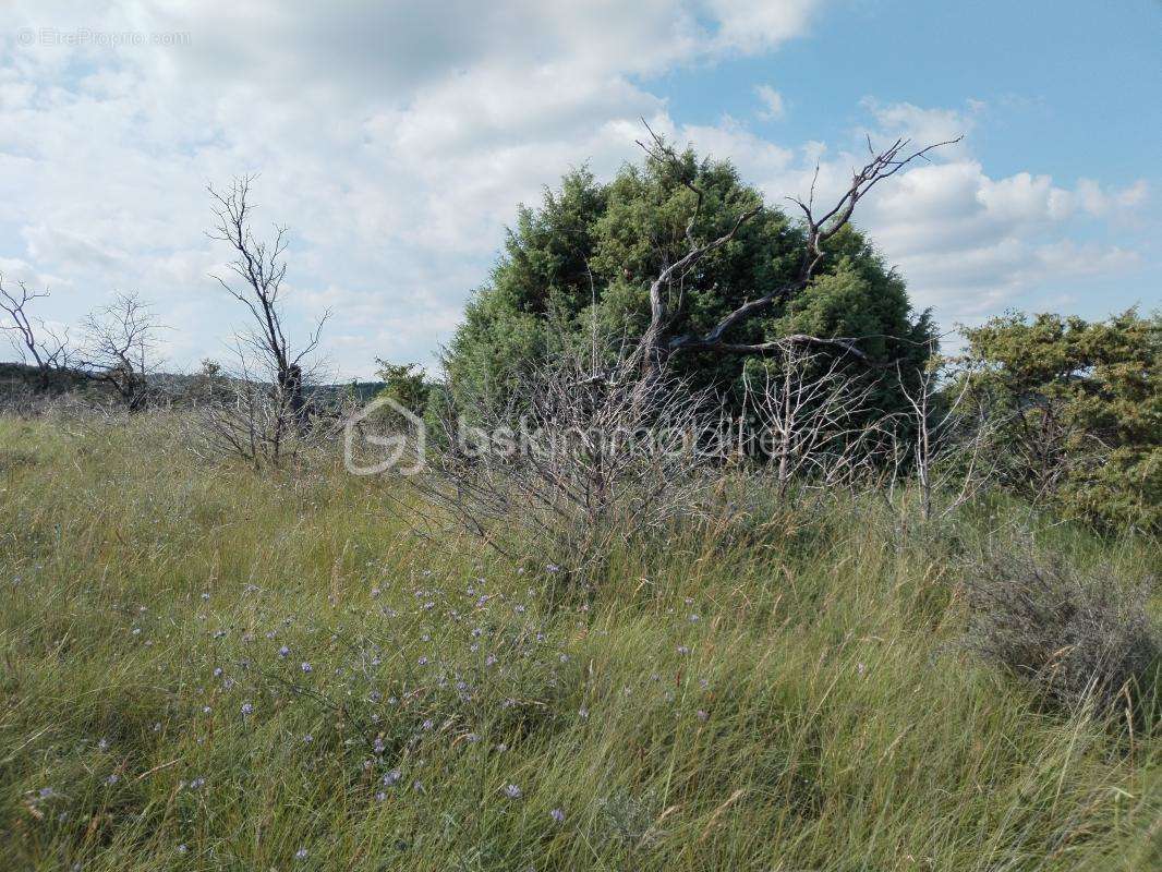 Terrain à GRAS