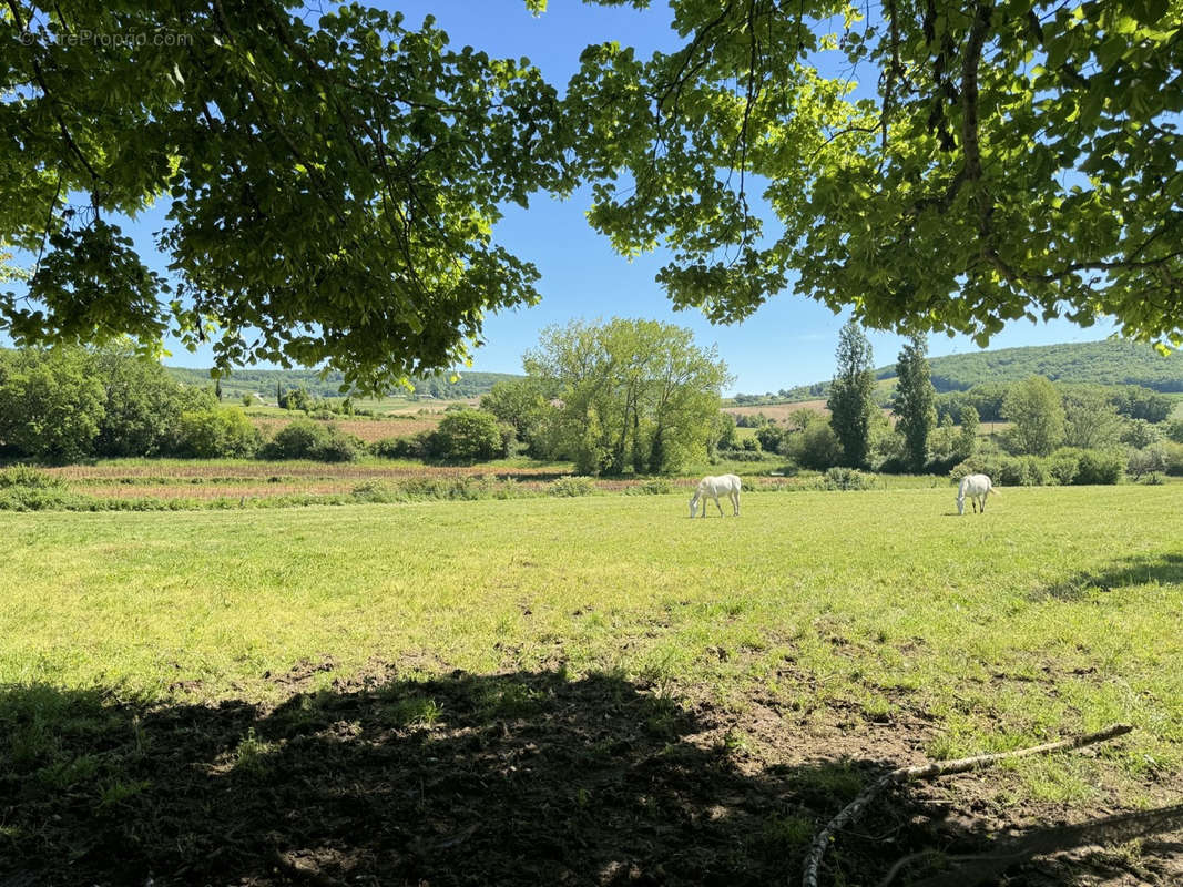 Maison à SAINT-SYLVESTRE-SUR-LOT