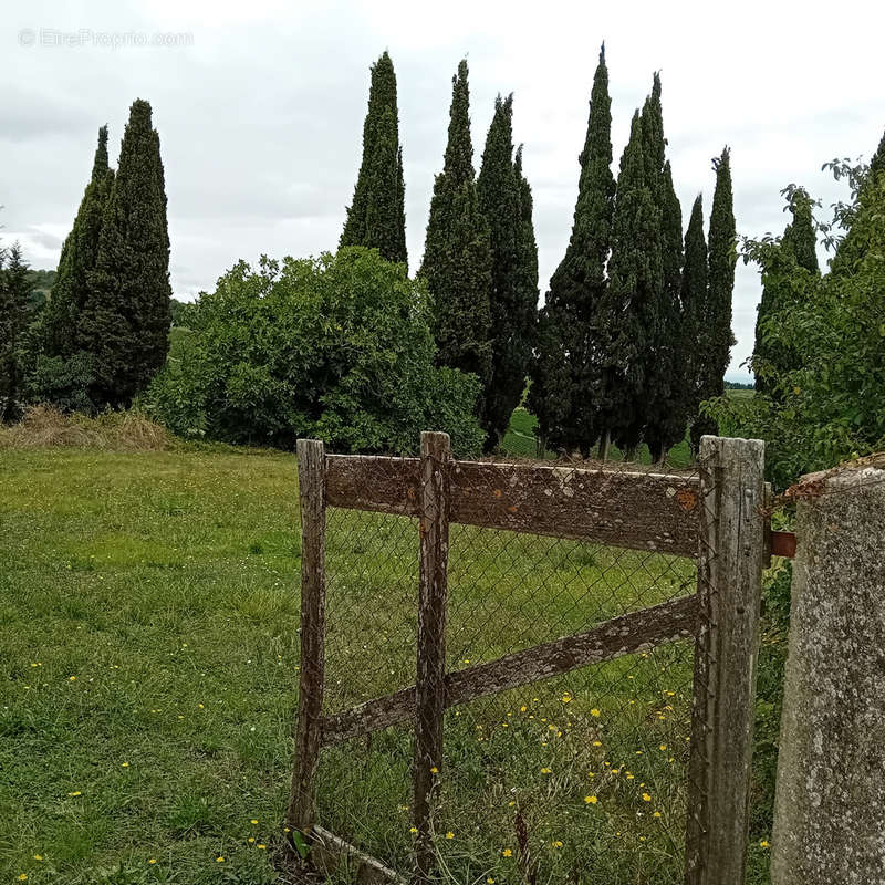 Terrain à ALAIGNE