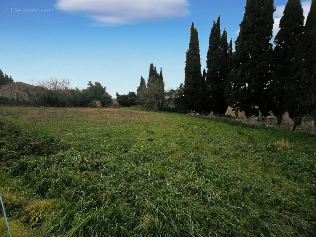 Terrain à ALAIGNE