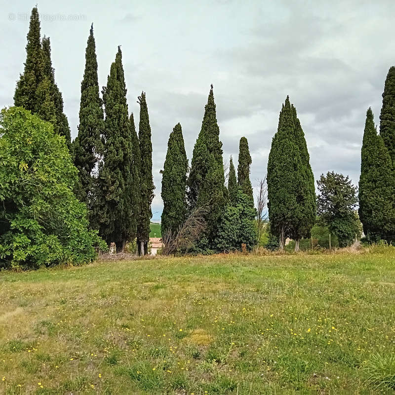 Terrain à ALAIGNE