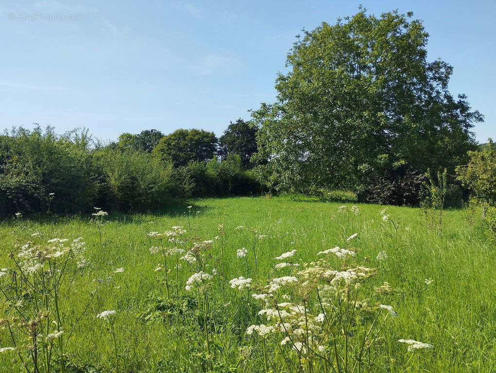 Terrain à SAINT-OMER-EN-CHAUSSEE