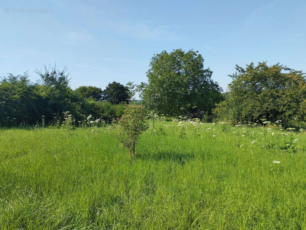 Terrain à SAINT-OMER-EN-CHAUSSEE