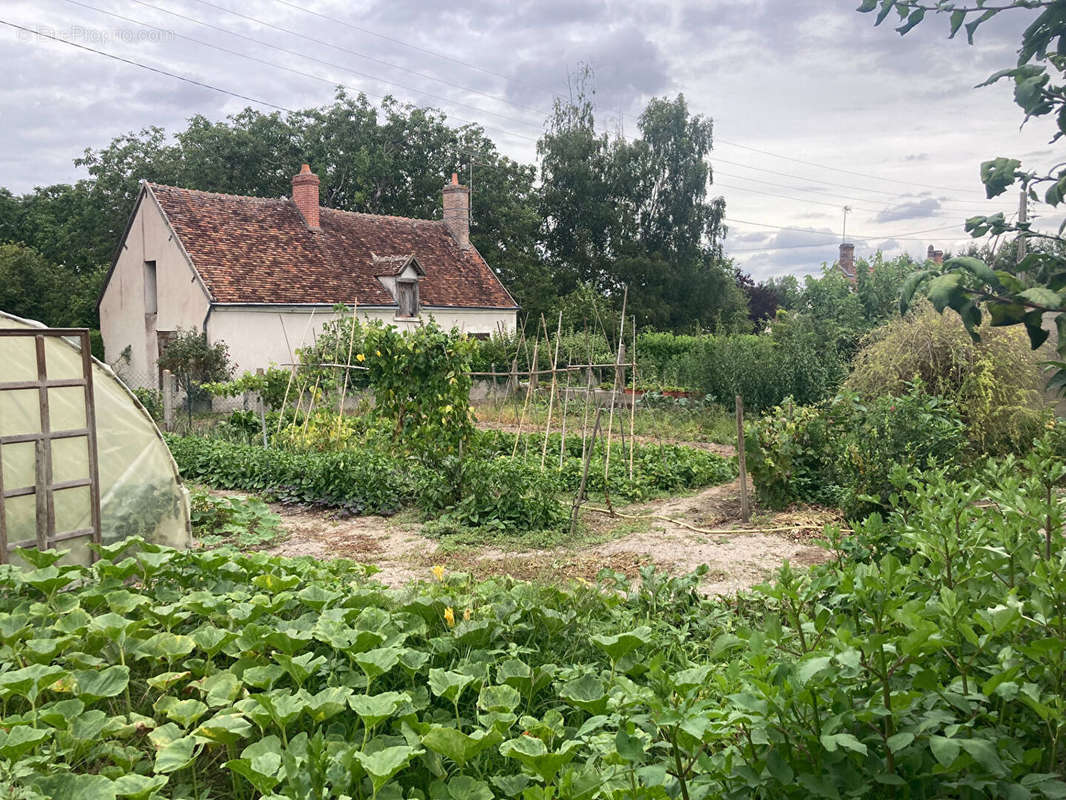 Maison à SELLES-SUR-CHER