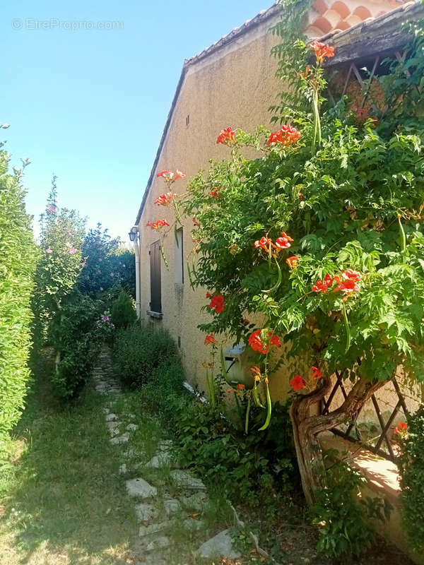 Maison à CARPENTRAS