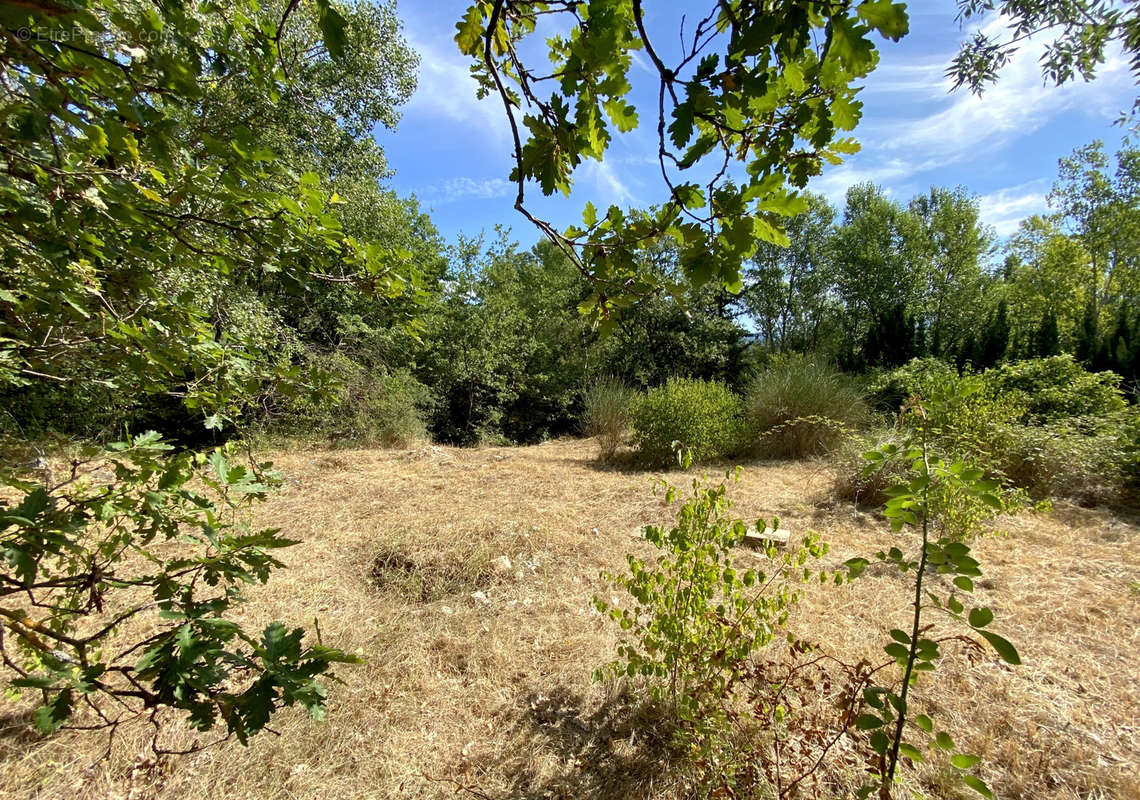 Terrain à BUIS-LES-BARONNIES