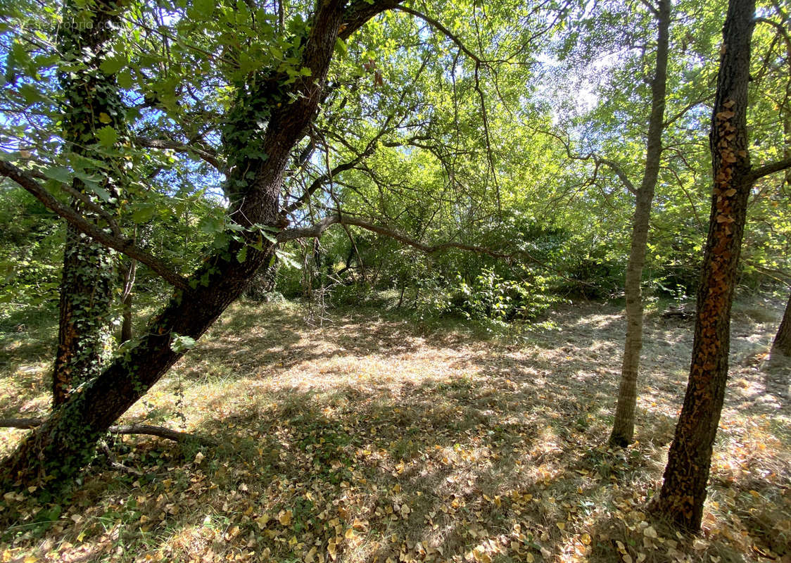 Terrain à BUIS-LES-BARONNIES