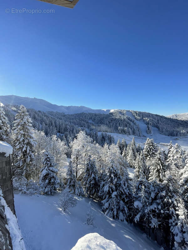 Appartement à LAVEISSIERE