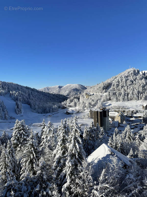 Appartement à LAVEISSIERE