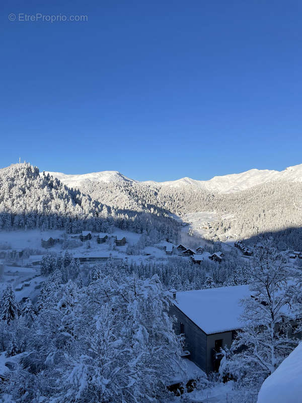 Appartement à LAVEISSIERE