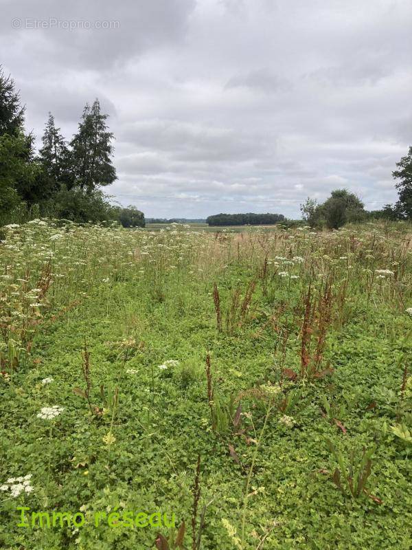 Terrain à LA FERTE-GAUCHER