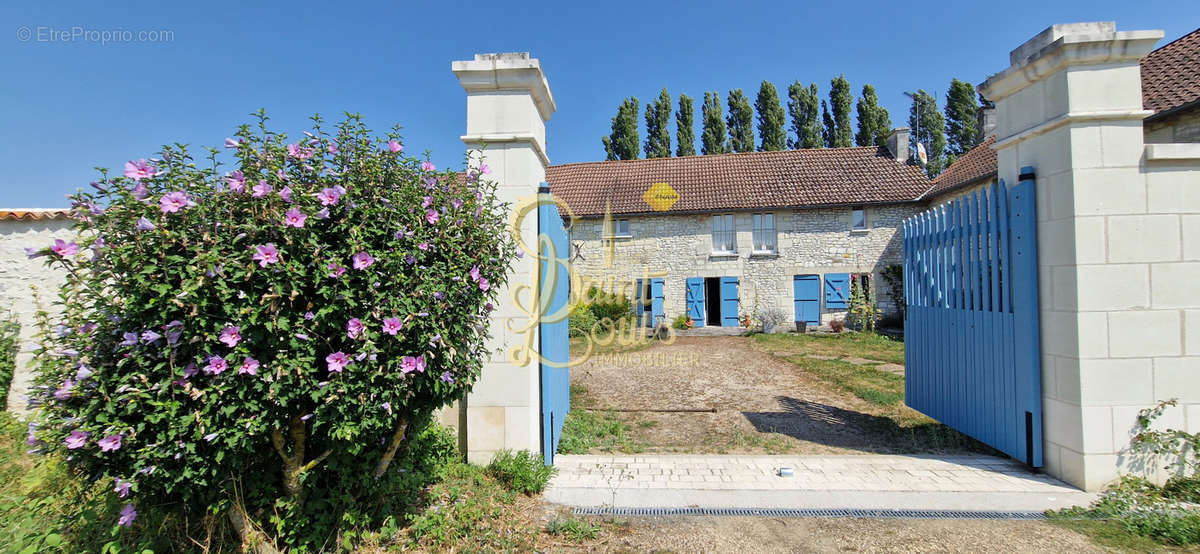 Maison à CHINON