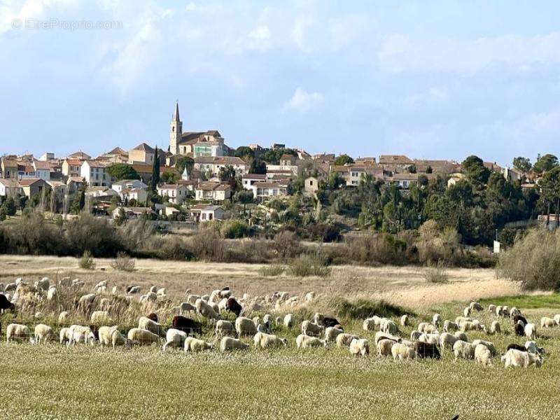 Terrain à OUVEILLAN