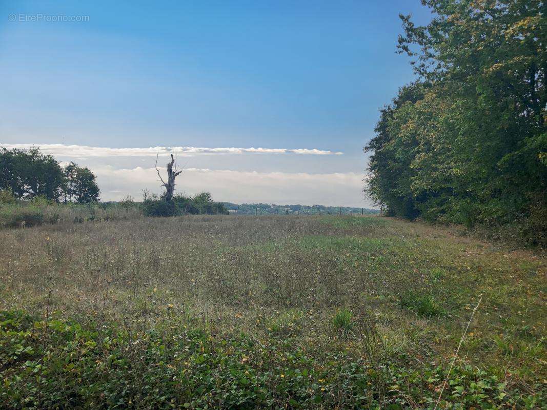 Terrain à LA CHAPELLE-MOULIERE