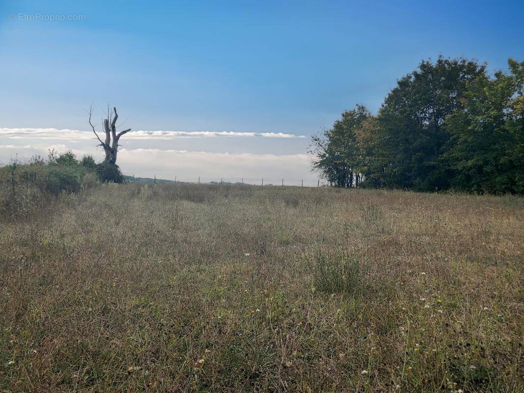 Terrain à LA CHAPELLE-MOULIERE