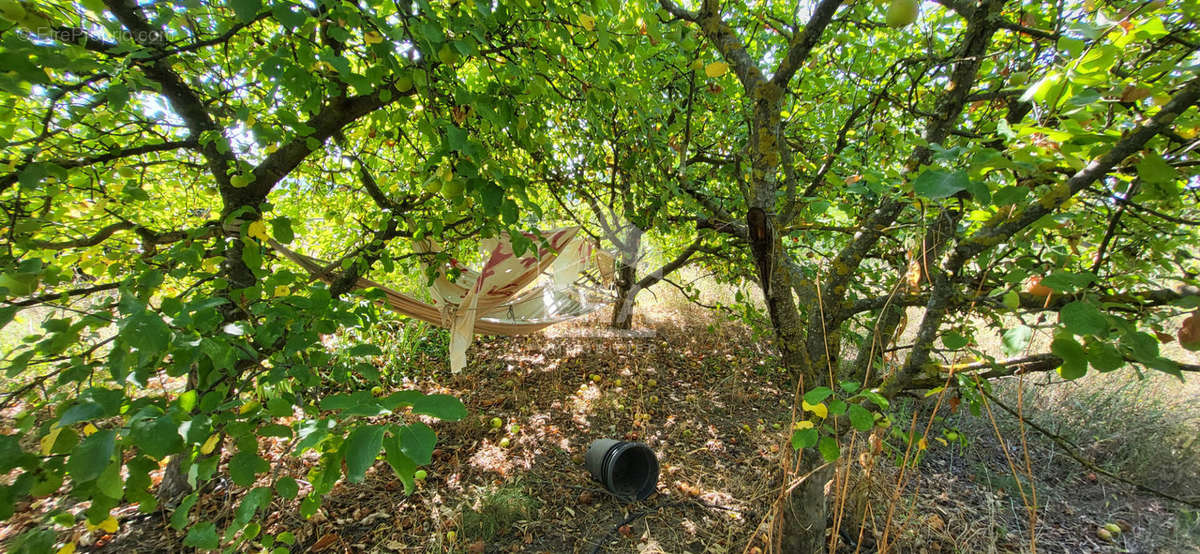 Terrain à MAZAN