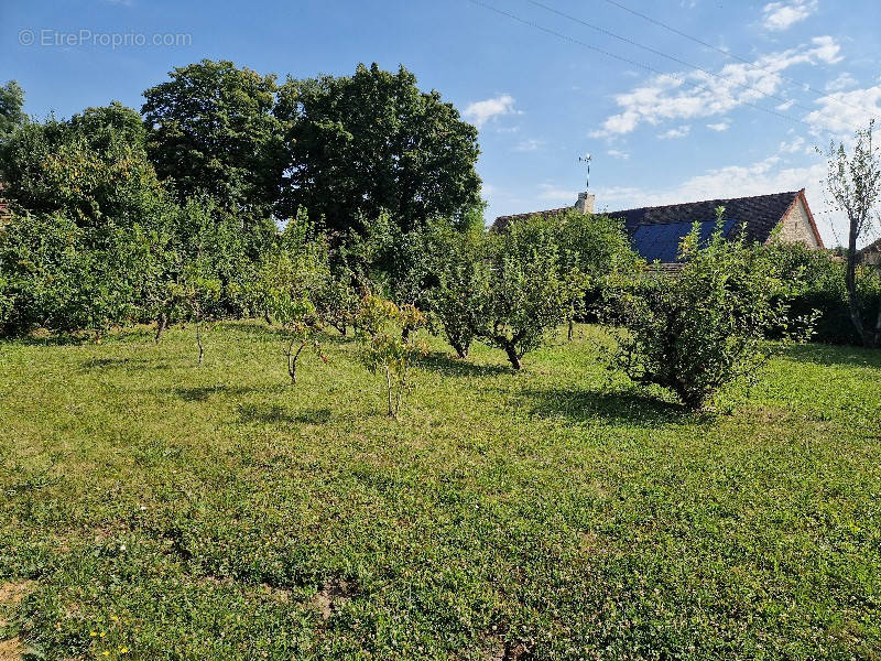 Terrain à MERCEUIL