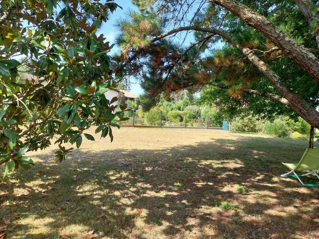 Terrain à LEOGNAN