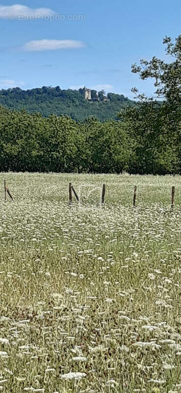 Maison à LES QUATRE-ROUTES-DU-LOT