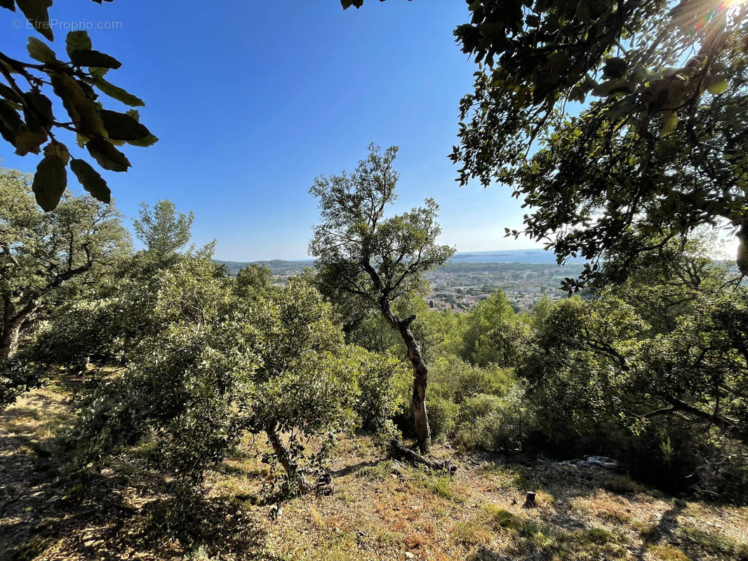 Terrain à SIX-FOURS-LES-PLAGES