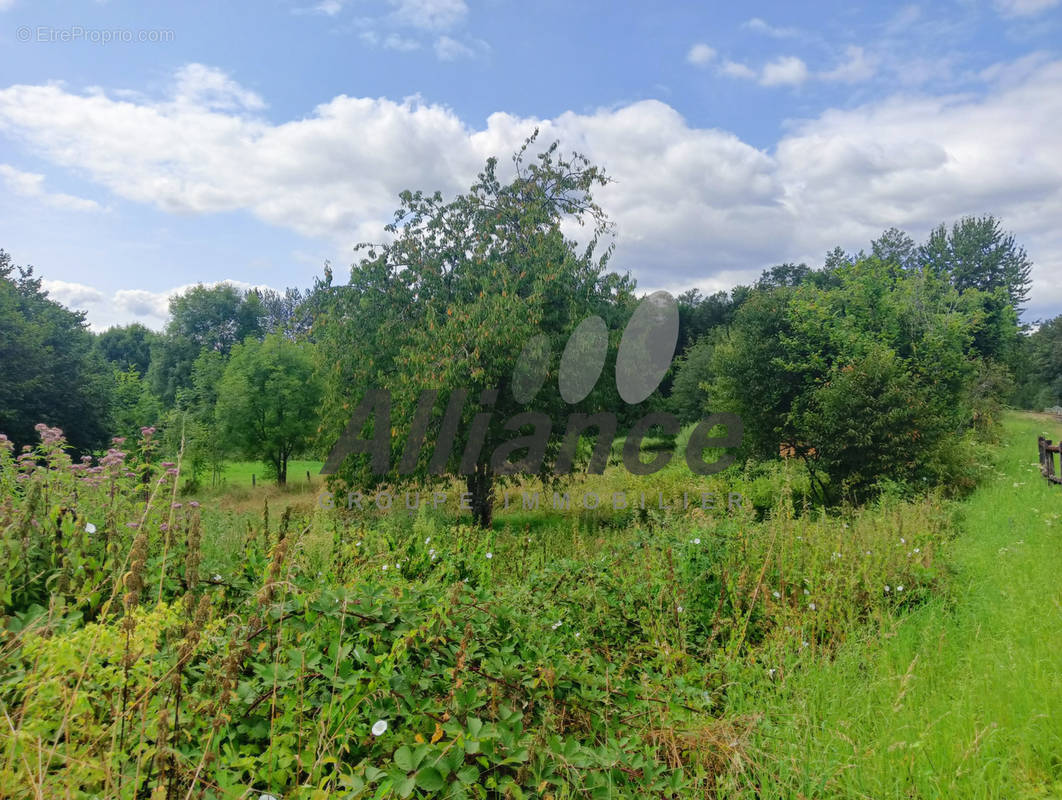 Terrain à CITERS