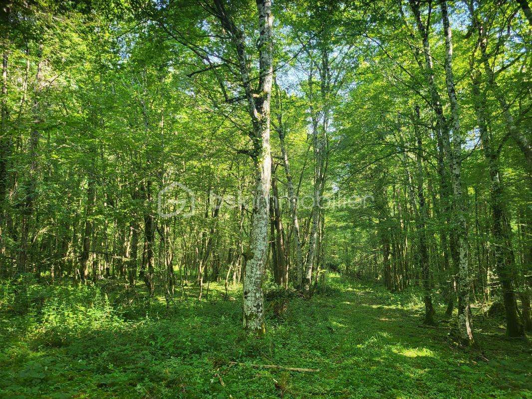 Terrain à BOISMORAND