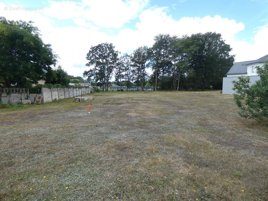 Terrain à SAINT-GILDAS-DES-BOIS