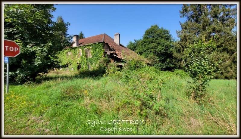 Terrain à CELLES-SUR-PLAINE