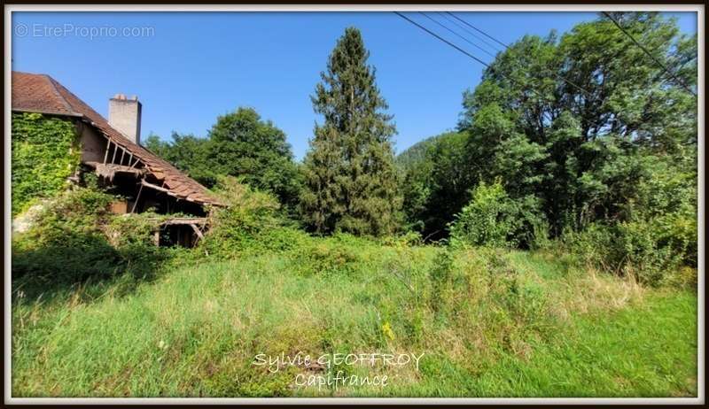 Terrain à CELLES-SUR-PLAINE