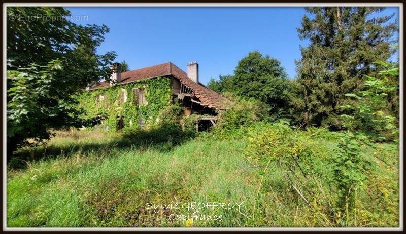 Terrain à CELLES-SUR-PLAINE