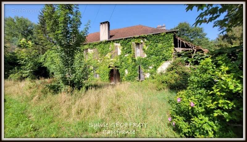 Maison à CELLES-SUR-PLAINE