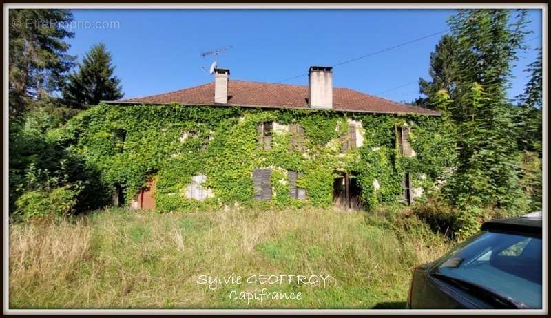 Maison à CELLES-SUR-PLAINE