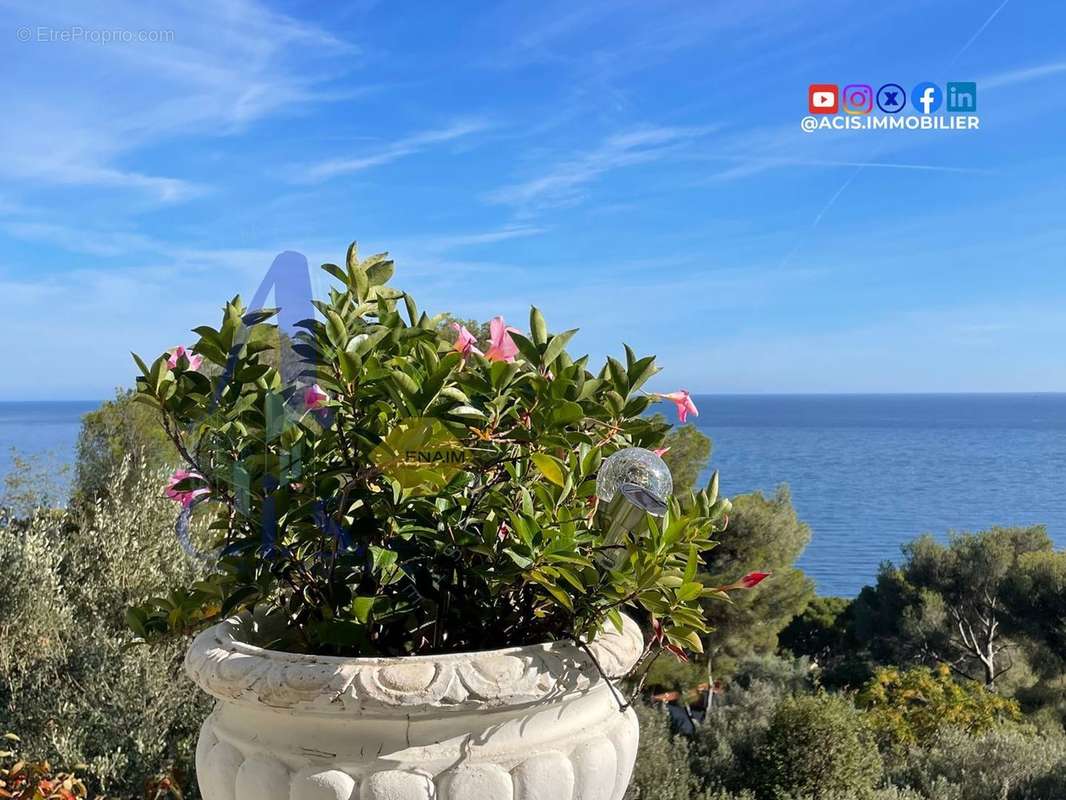 Appartement à CAP-D&#039;AIL