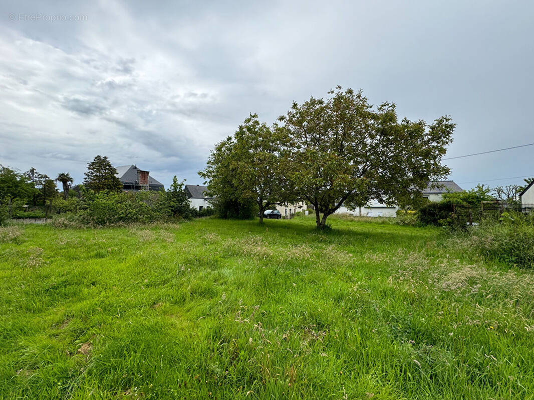 Terrain à PENESTIN