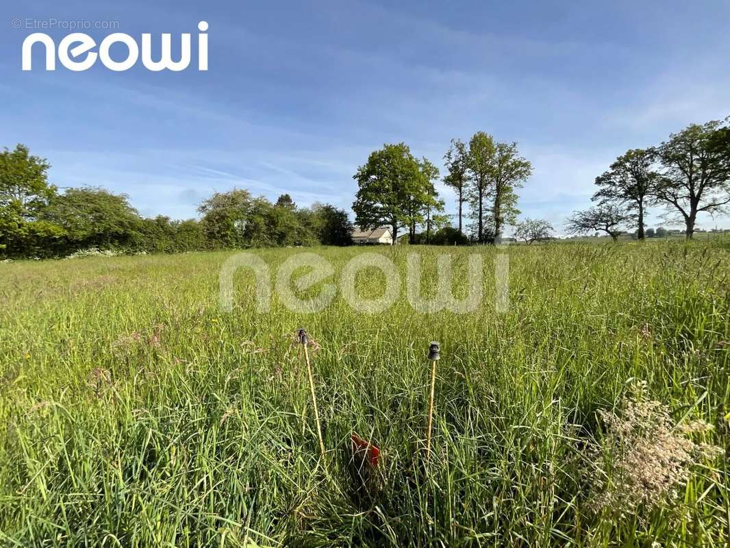 Terrain à ROANNES-SAINT-MARY