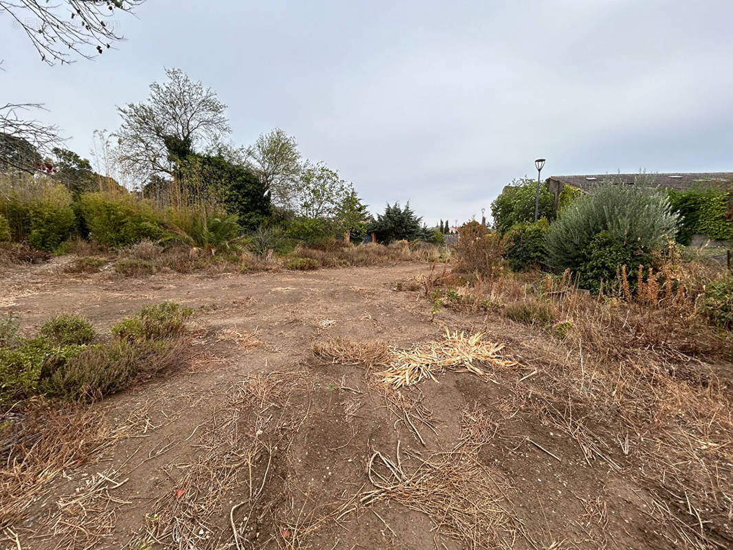 Terrain à SAINT-NAZAIRE-D&#039;AUDE