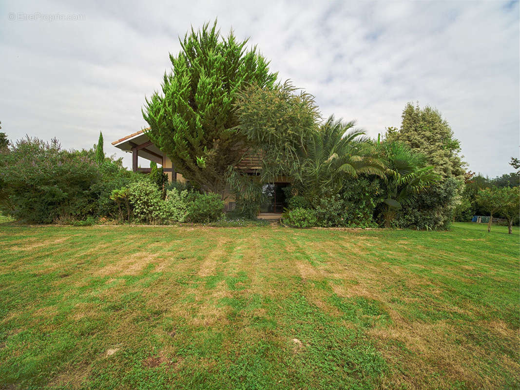 Maison à GRENADE-SUR-L&#039;ADOUR