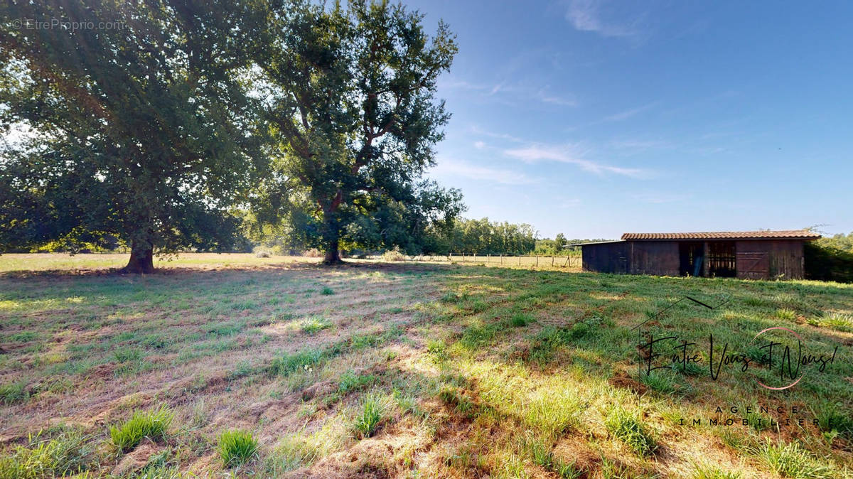 Maison à BAZAS