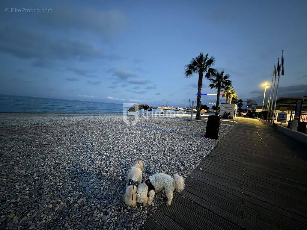 Appartement à VILLENEUVE-LOUBET